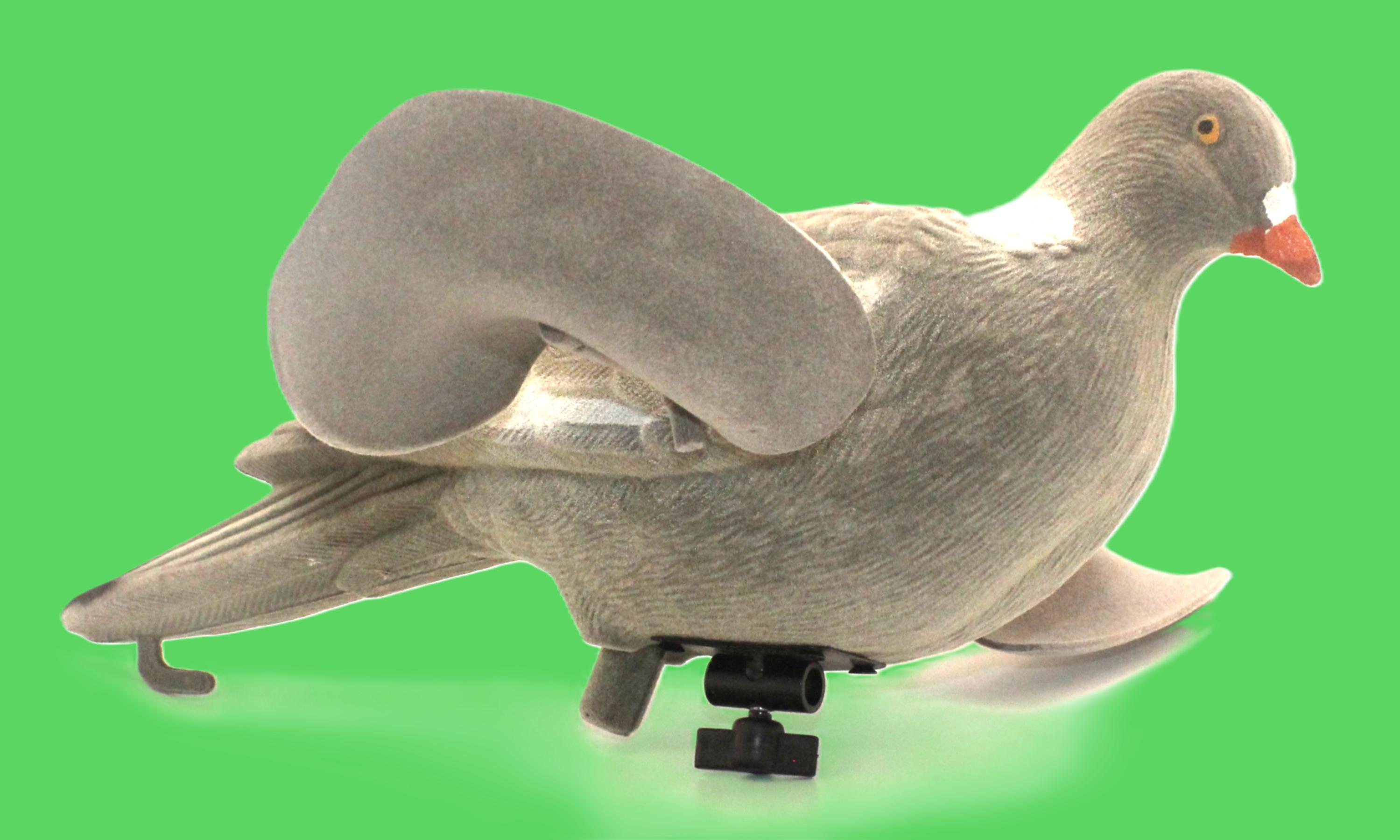 Pigeon Spinner RH